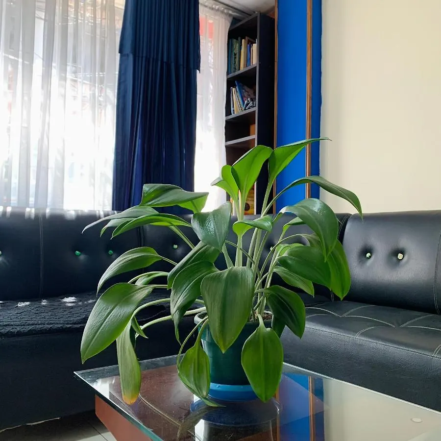Habitacion Cercana Al Aeropuerto Bogotá